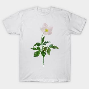 Wood anemone T-Shirt